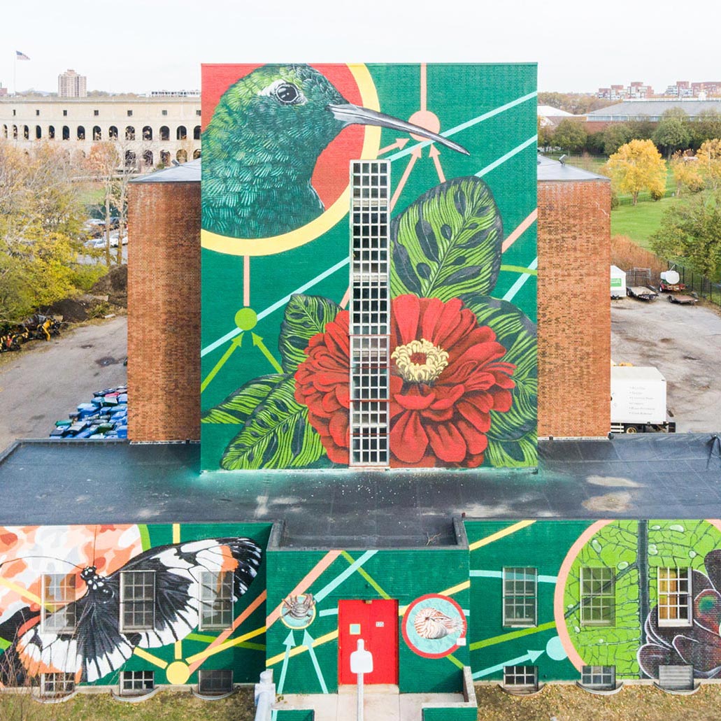 Mural of a hummingbird and other birds and insects on a brick building in front of the Harvard stadium